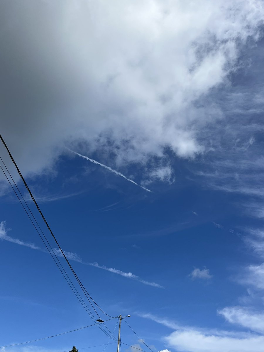 LRINTJ1's tweet image. I take a break from posting everyday in order to avoid HIGH BLOOD PRESSURE!!! Stop poisoning our planet !#WEDONOTCONSENT