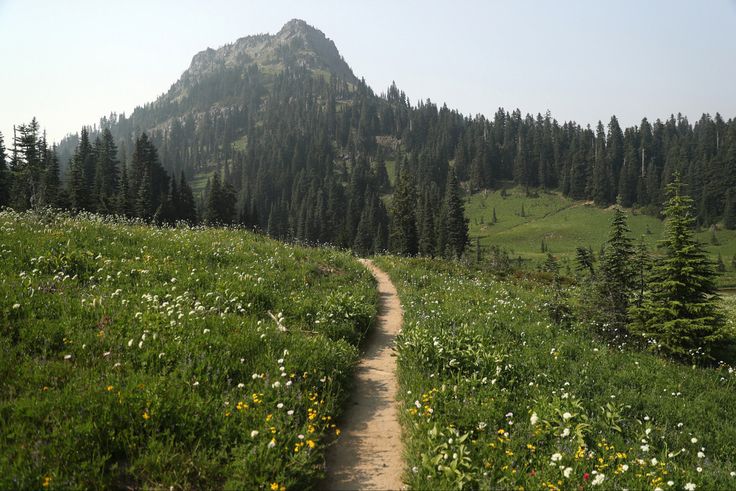 greenvibe's tweet image. 