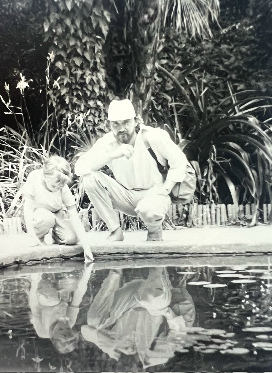 zilasaule tweet media