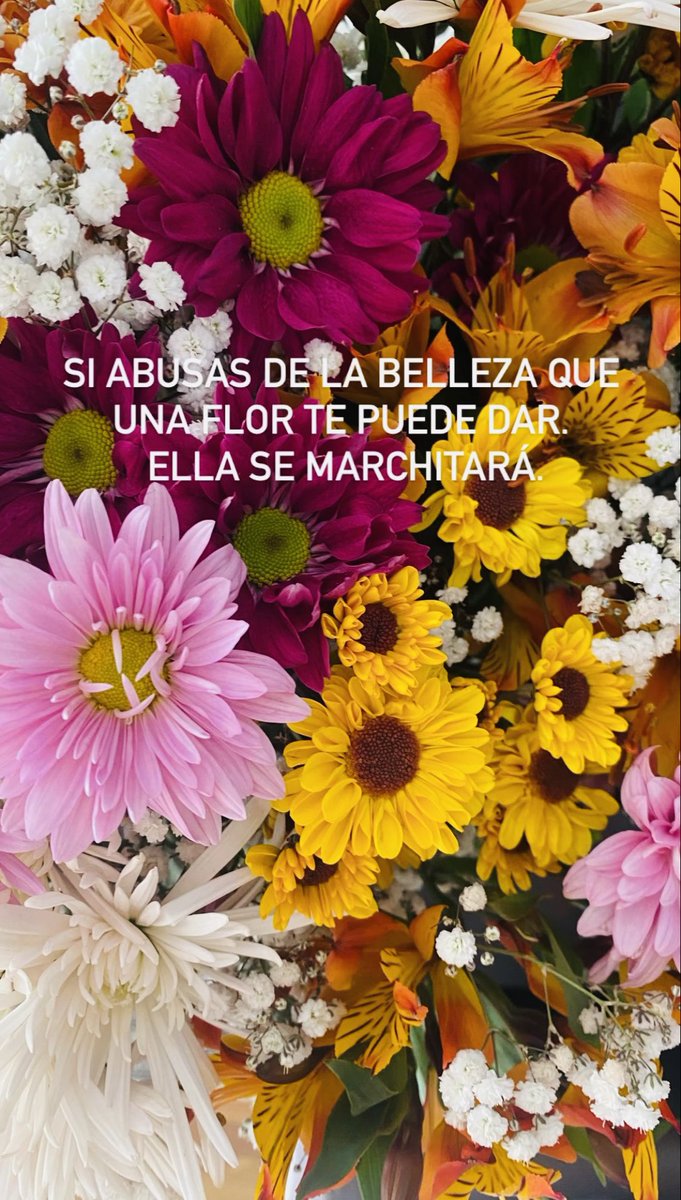 Una flor existe para irradiar belleza y contagiarnos de ella. 🌸♥️