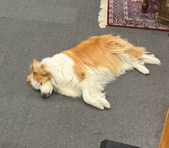 caught my business partner sleeping on the job