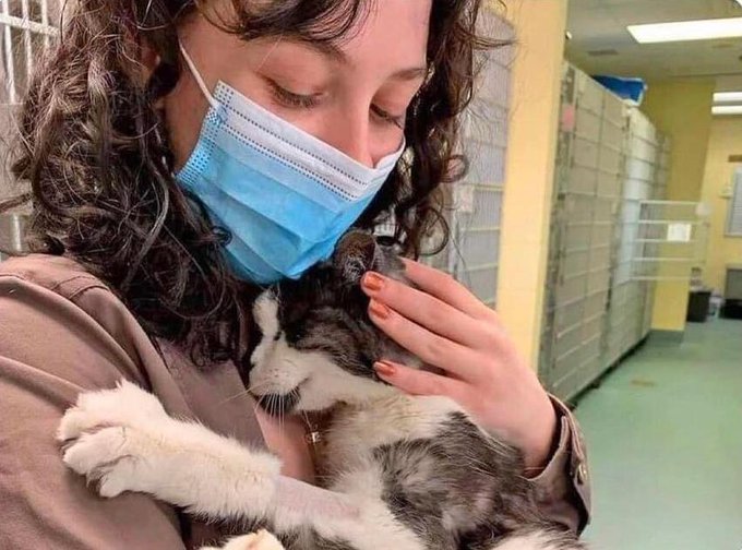 HopeMediaFR's tweet image. 🐱 Cette dame a adopté un chat de 20 ans en refuge pour lui offrir une fin de vie libre, digne et remplie d’amour 🤍