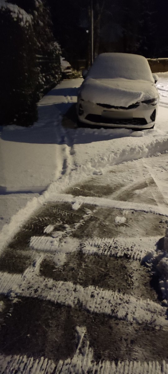 Polizeibeobachter 🌳🐘 tweet media