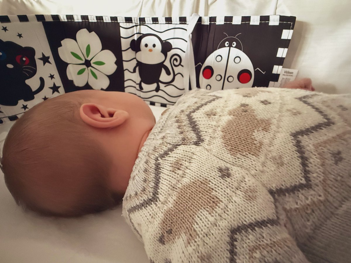 Patrick McPartlin tweet media