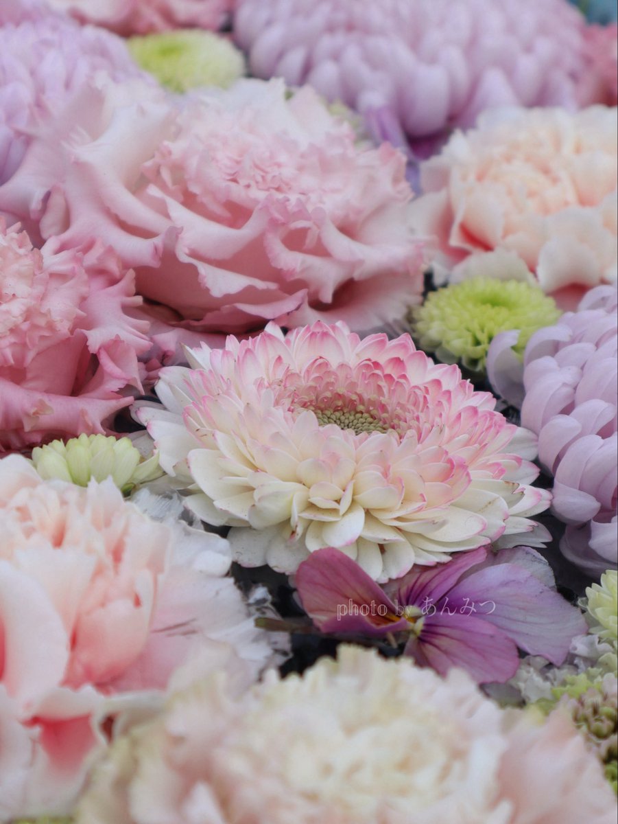 ☆あんみつ☆ (@BiDwVv7B2Uh5VYR) / Posts / X