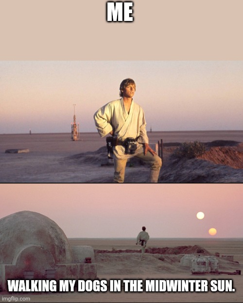 Flaherty Typhon Wells. (@flahertytyphon) on Twitter photo 