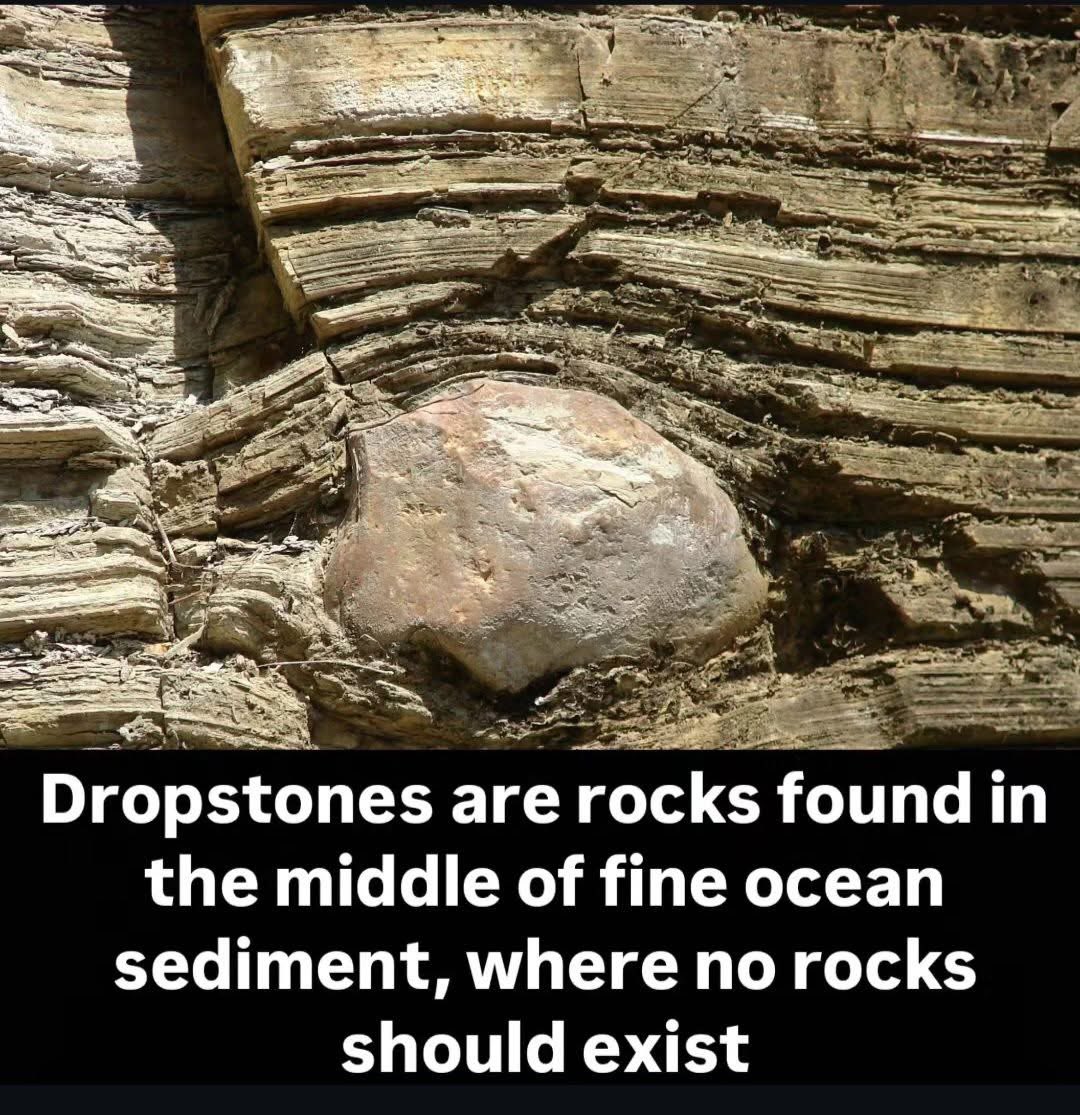 NotEvolution1's tweet image. See those sedimentary layers?  They are from a year long flood.