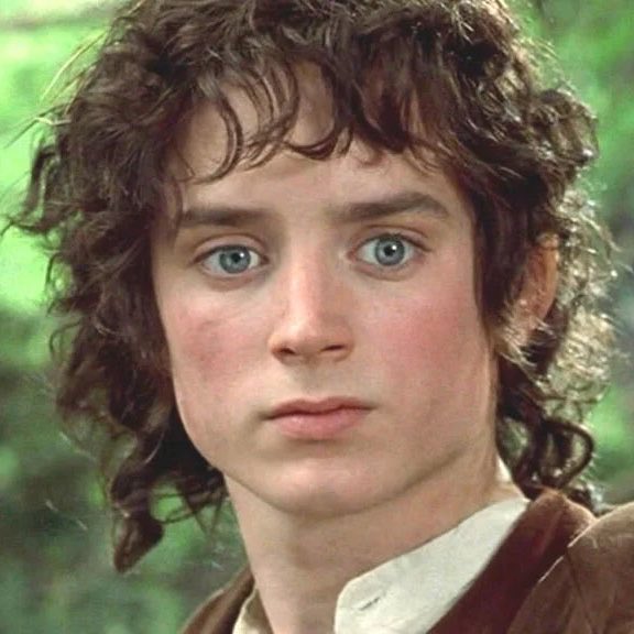 ahlize's tweet image. j’arrive pas à m’enlever de la tête le fait que nancy ressemble qd même bcp à frodon
#StrangerThings5