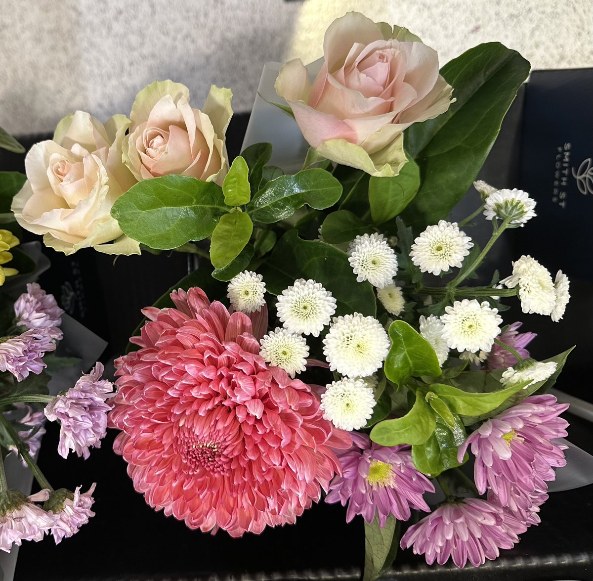 RadugaTourism's tweet image. Brisbane Australia