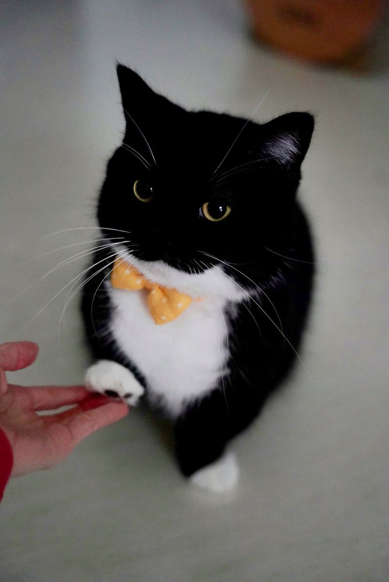 unicouniuni3's tweet image. Mom, can I hold your hand…?