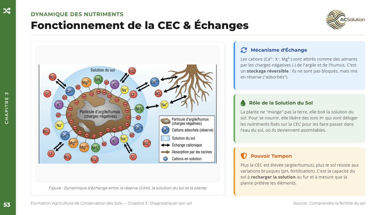 Master_BT's tweet photo. Je suis calme niveau post RS et vidéo YouTube en se moment mais c’est pour la bonne cause.
J’essaie de poser à plat ce que j’avais en tête depuis 2ans.
Ma vision de l’ACS et de l’agronomie de façon plus générale sous forme de guide, module vidéo, documents à consulter
#ACSolution https://t.co/cEecs1uM4p
