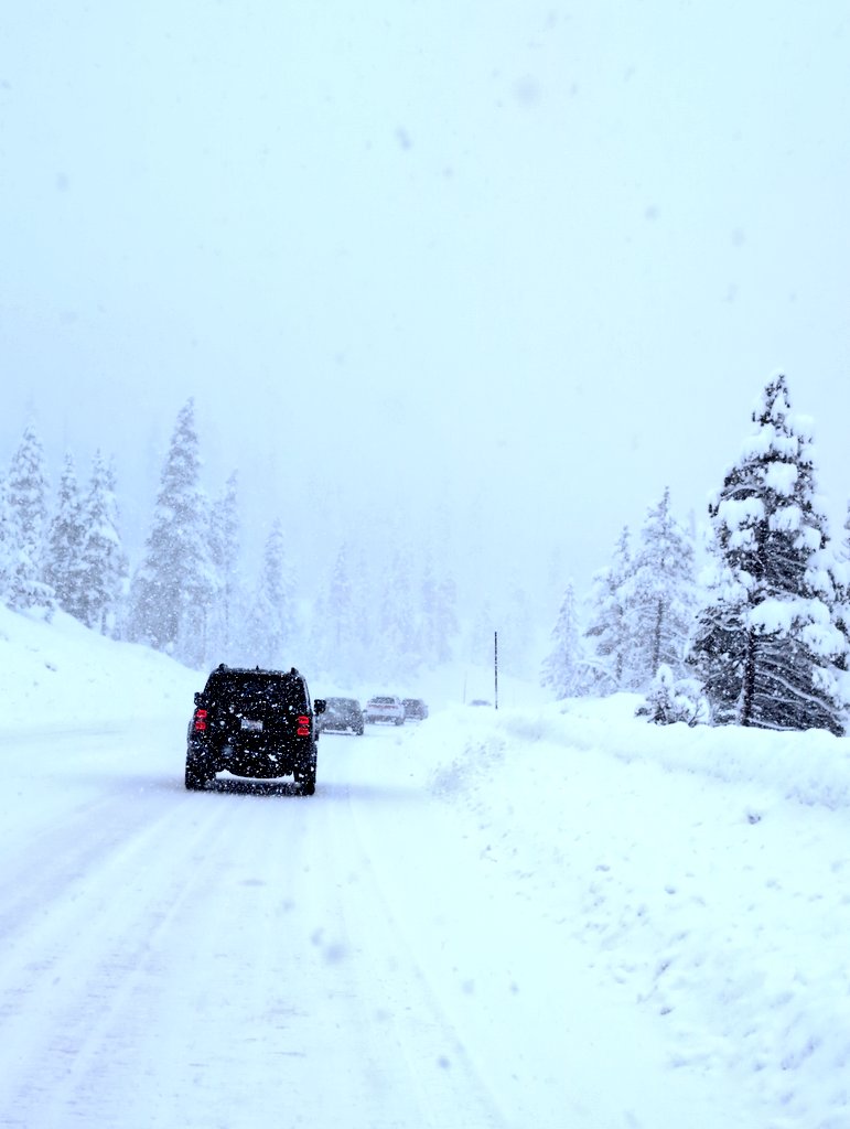 Nick Khami tweet media