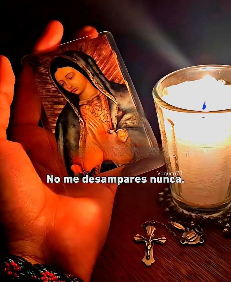 Bandidosfrases's tweet image. 