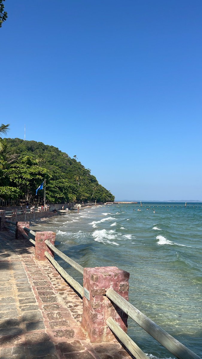 guga_msm's tweet photo. Ilha dos Frades, 2026 ✨ https://t.co/s8DFcjrJzt