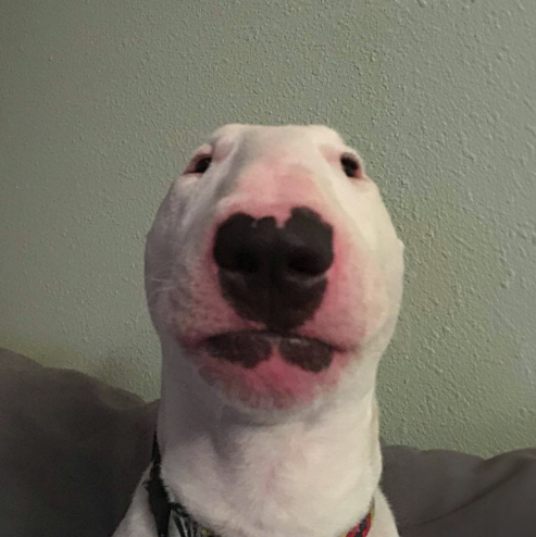 wouldn't it be wild if $walter got the love he deserves?