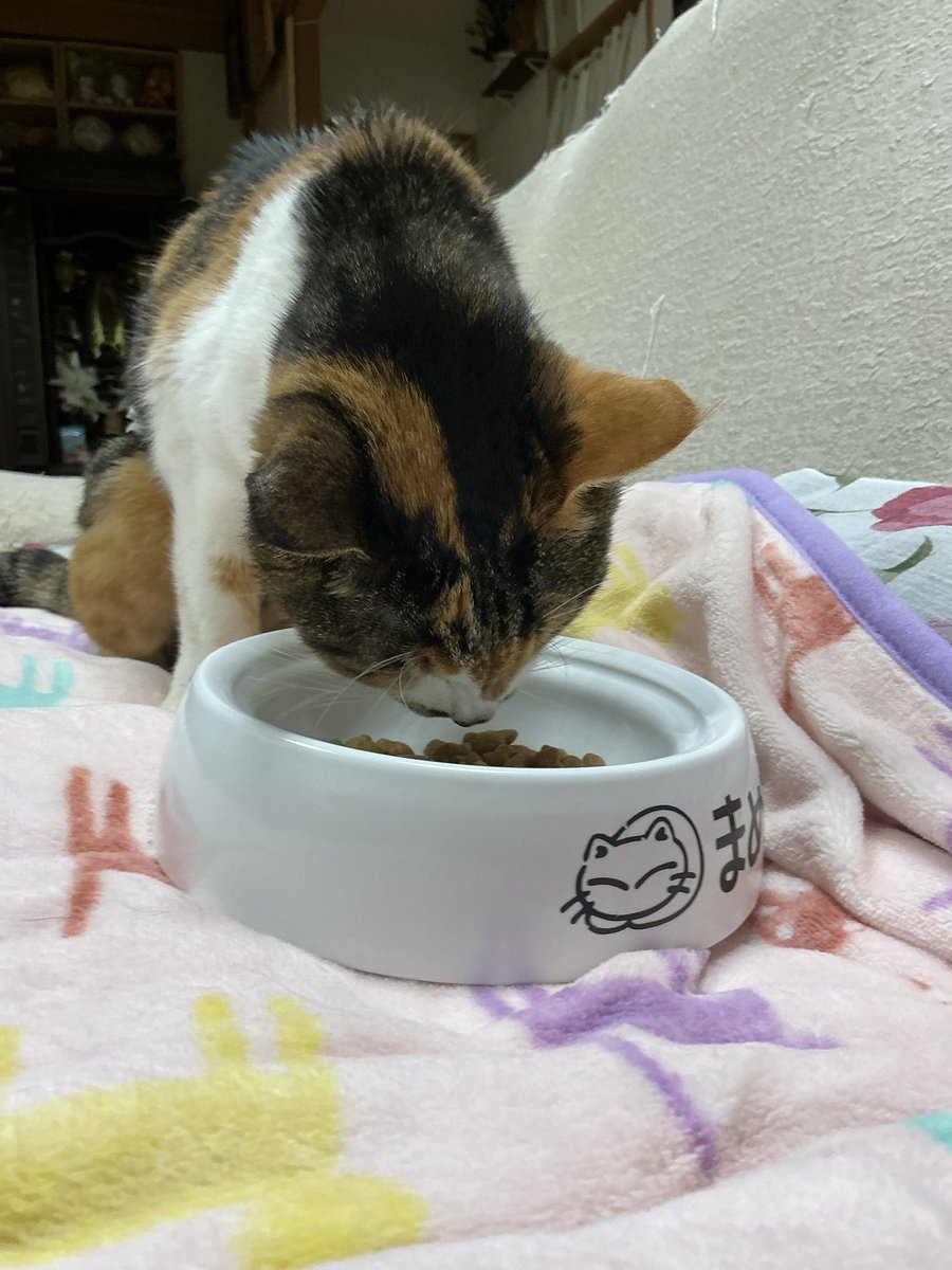 マコ (@mako32621456) / Posts / X