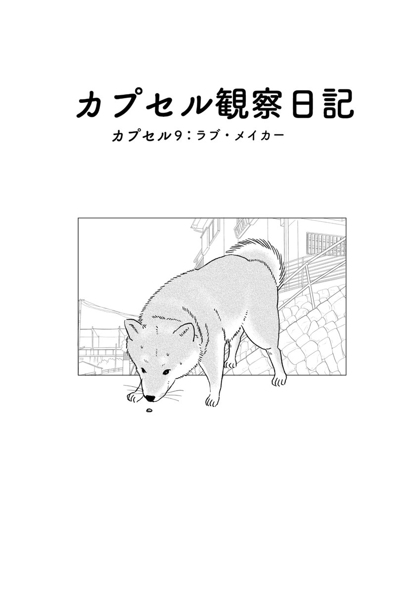 「カプセル観察日記」9話 配信中です！

花とゆめWEB⬇️
manga-park.com/title/91872

最終回の更新：2026.01.26(月）です⚪️
ちょっと早め！