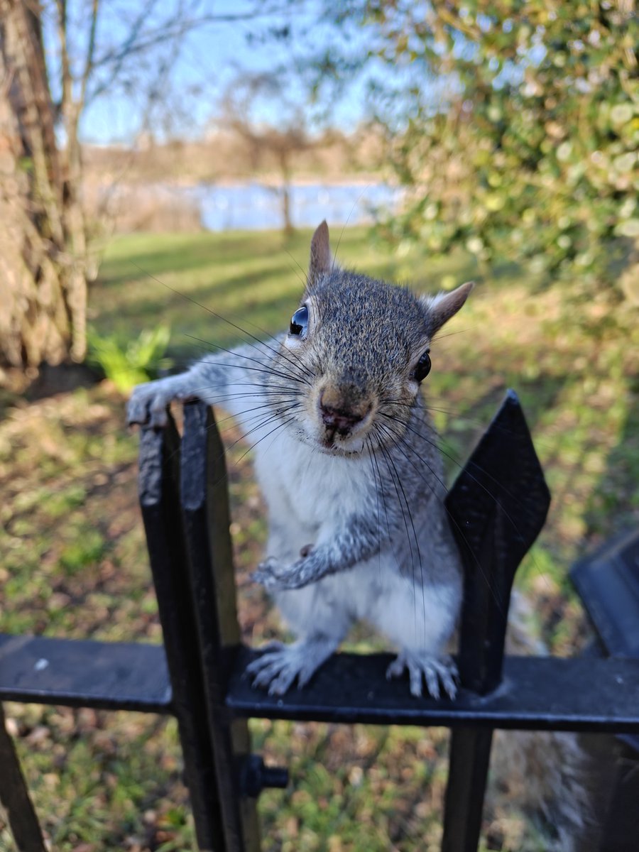 Ho già fatto la foto dell'anno 2026