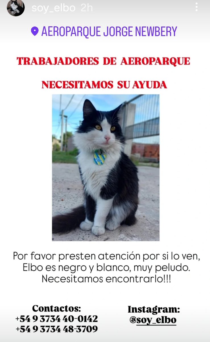 #Venezuela⛓️🇻🇪✨
ME AYUDAN  #soy_elbo @soy_elbo IG <a href="/Aerolineas_AR/">Aerolíneas Argentinas</a> ME PERDIÓ estoy en <a href="/AeroparqueAEP/">Aeroparque Jorge Newbery Buenos Aires</a> <a href="/MAeroparque/">MODO AEROPARQUE 🛫</a>  AYUDA ✨🙏🏼