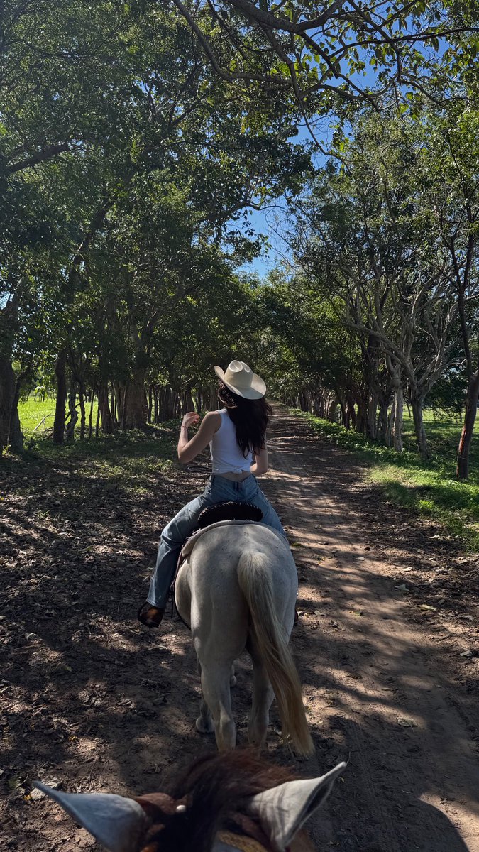 bosch_fatima's tweet image. Some bonds are instinct 🐴 🩵