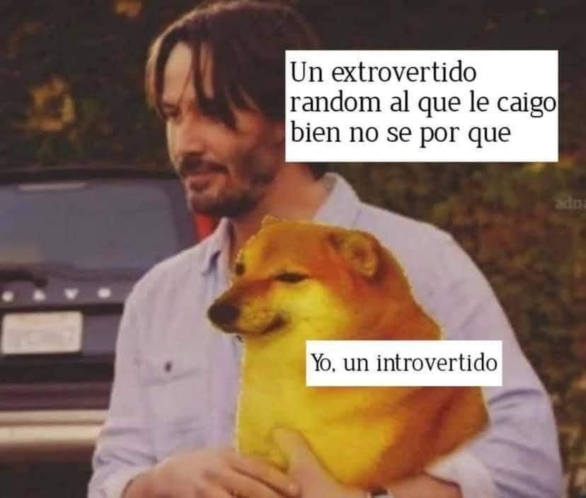 Dilo con perritos (@diloconperritos) on Twitter photo 