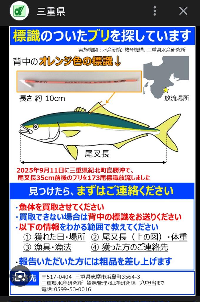 ブリの生態を調べていたらこんなのを見つけたので釣った方はご連絡お願いします🙇

三重県｜水産研究所：ブリ標識放流 pref.mie.lg.jp/suigi/hp/16094…