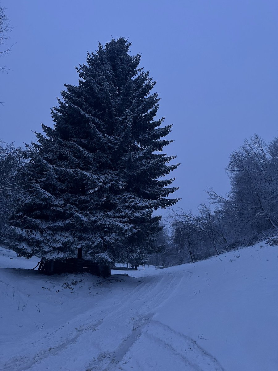 Sneg je detinjstvo, bezbrizno i srecno ❄️🤍