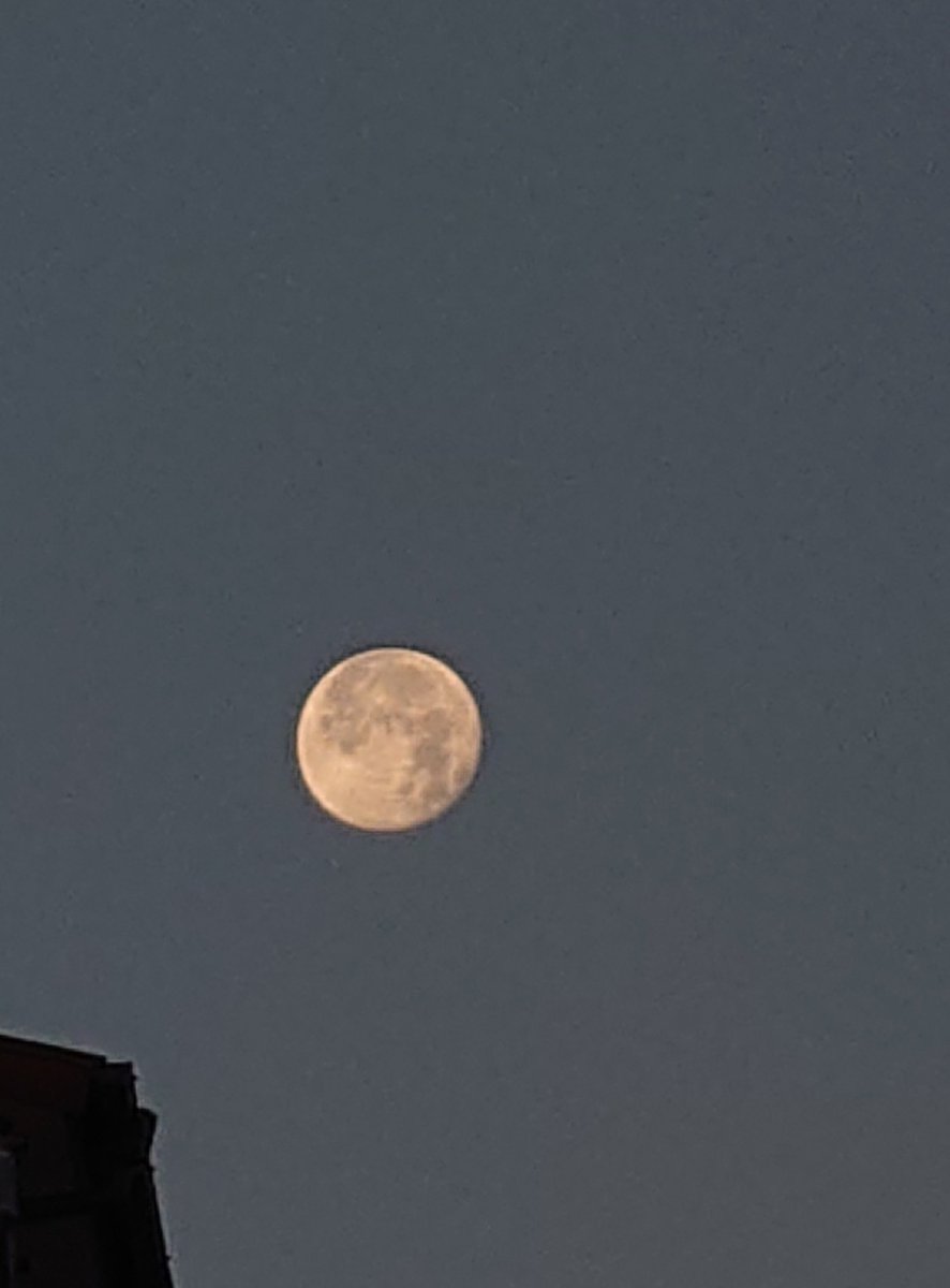 月がまだ綺麗に出てる。
今日から電車また混むな。