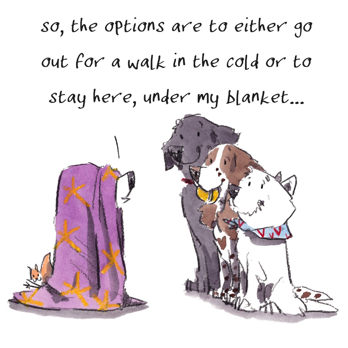 iaindwelch's tweet photo. Good night, lovely people and lovely dogs.
The beagle is feeling cosy...
Sleep well and sweet dreams.
I am wishing you the very best for the week to come. 
#hoorayfordogs #beagle #labrador #springer #westie #redsquirrel #blanket https://t.co/0kauLffzvU