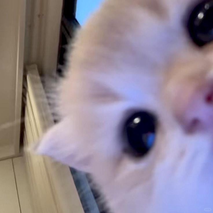 jeon ⁷⦿ ☰ ☲ tweet media