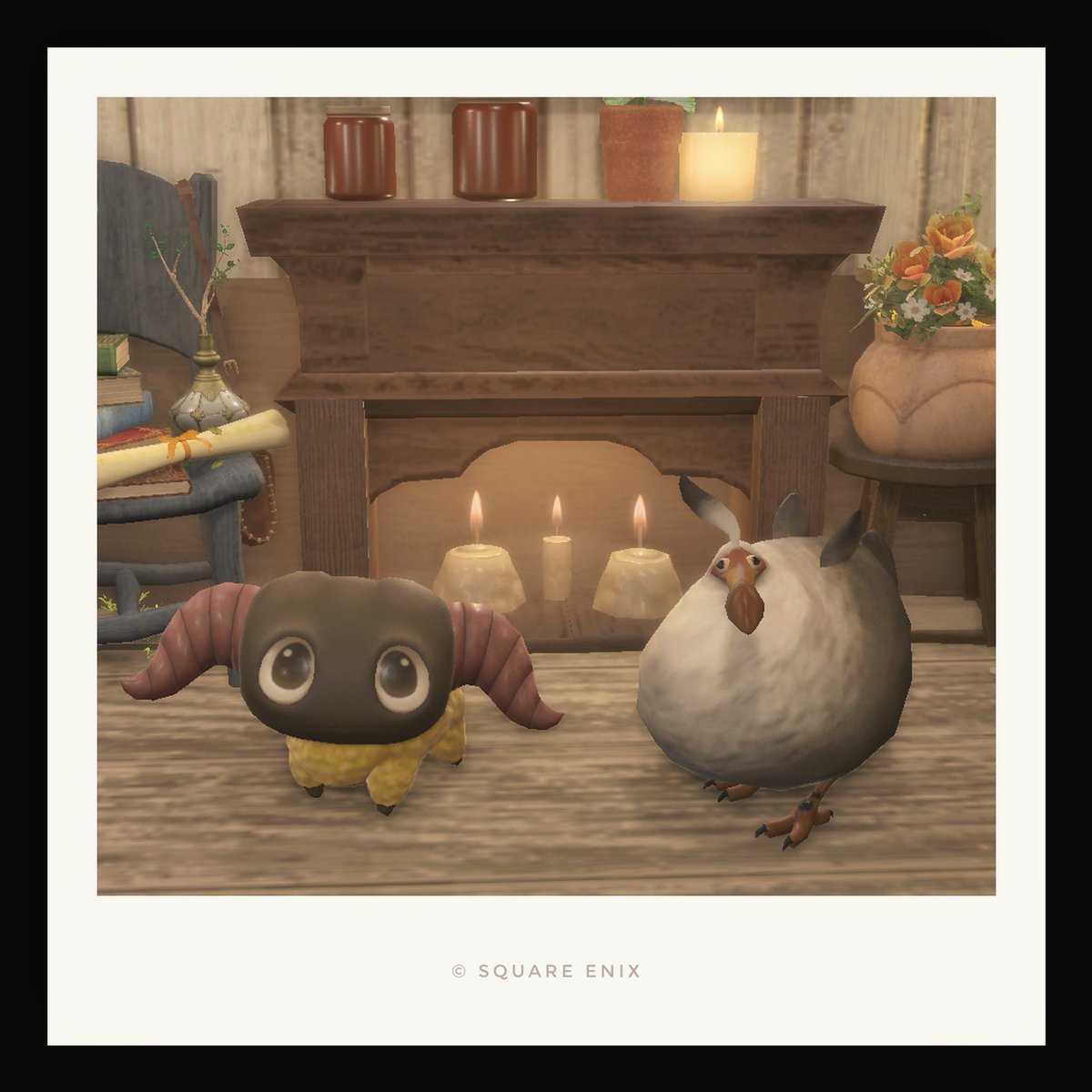 アサ🦤 (@asacmdr) / Posts / X