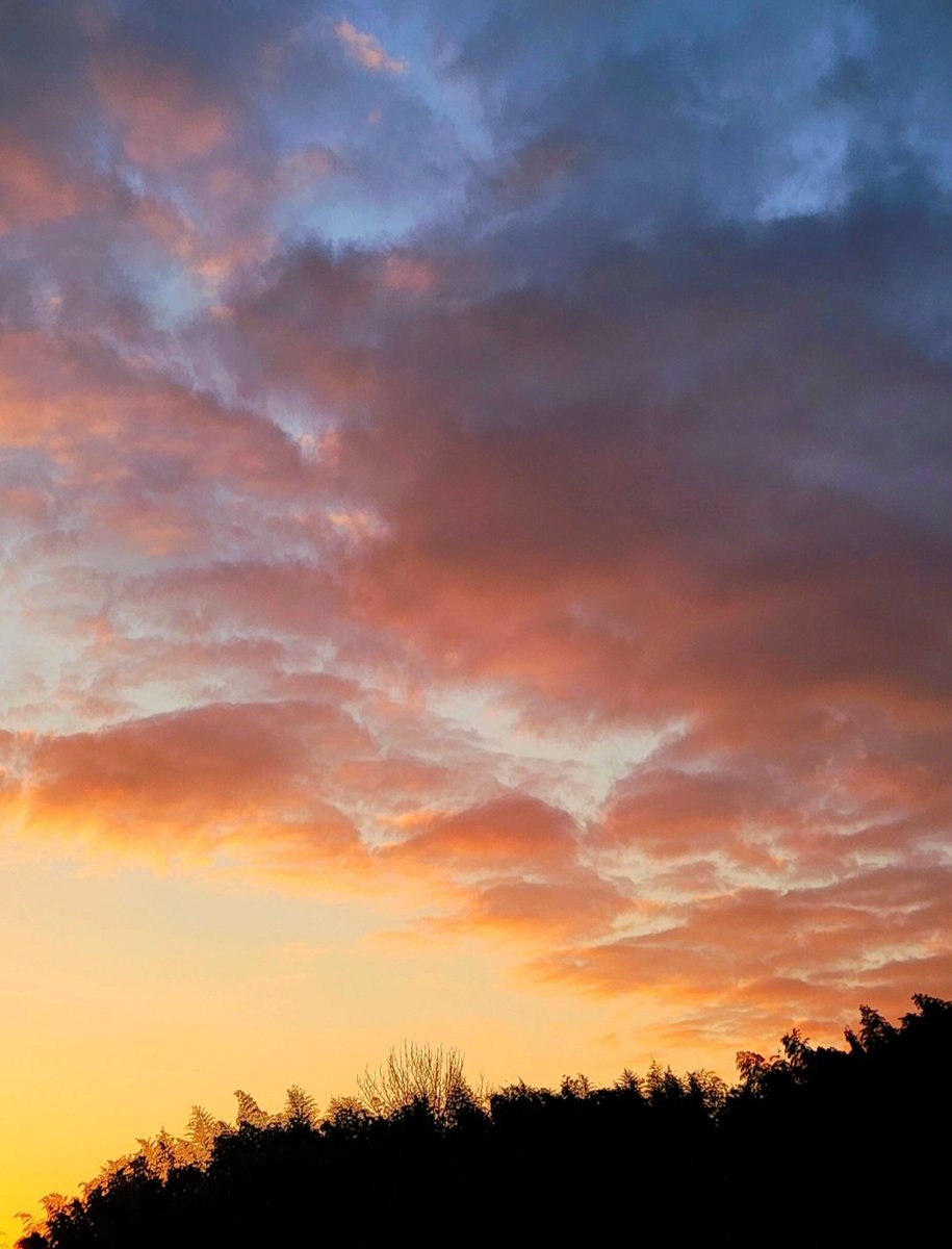 やっくん (@rz7j2xMw3q29104) / Posts / X