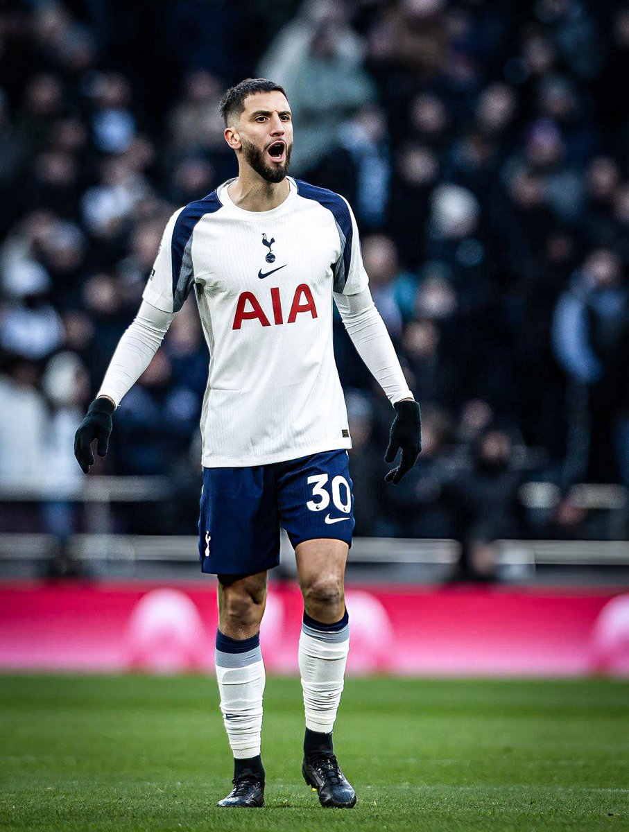 HotspurReports. tweet media