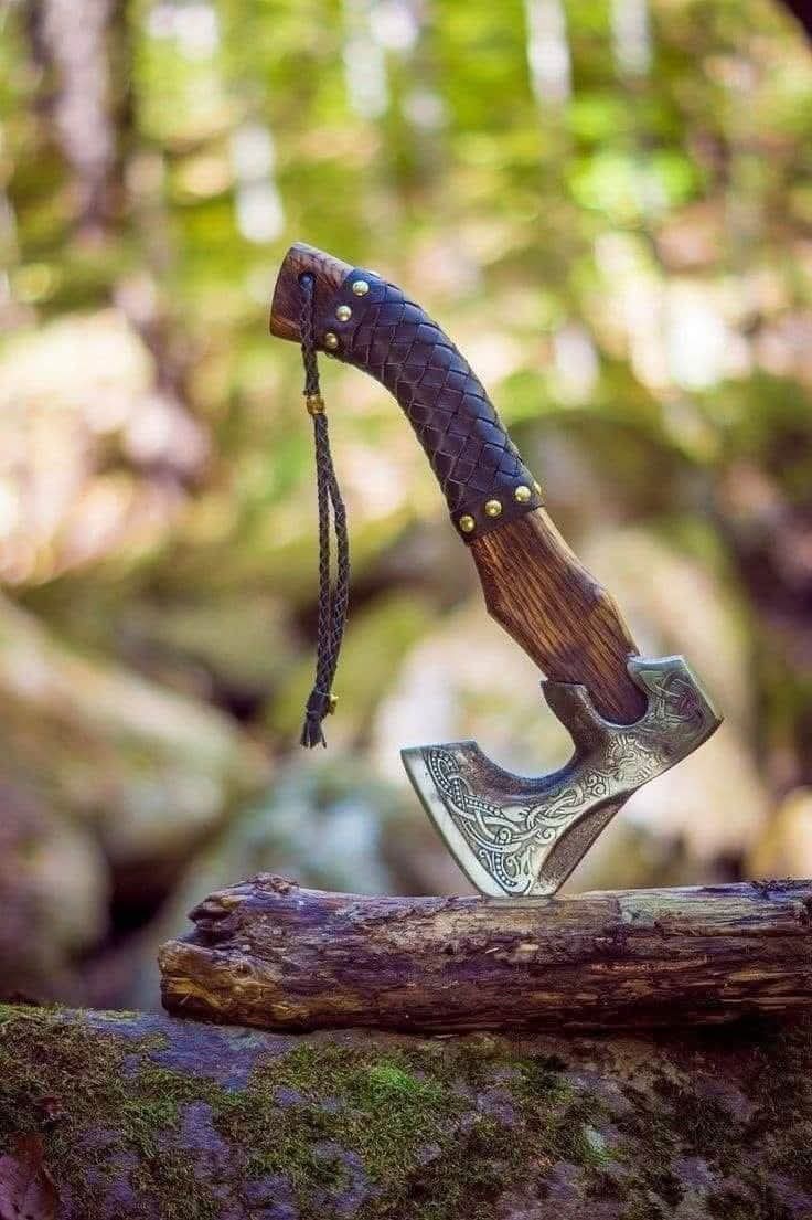 . 

"قد تكون العودة موجِعة ..
"أسألوا الشجرة عن الغُصن الذي غادرها ،
ثم عادَ اليها فأساً يكسرها !!
🖊..................