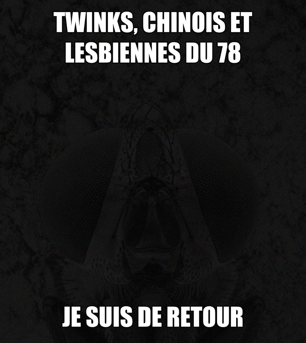 Truandu78 tweet media