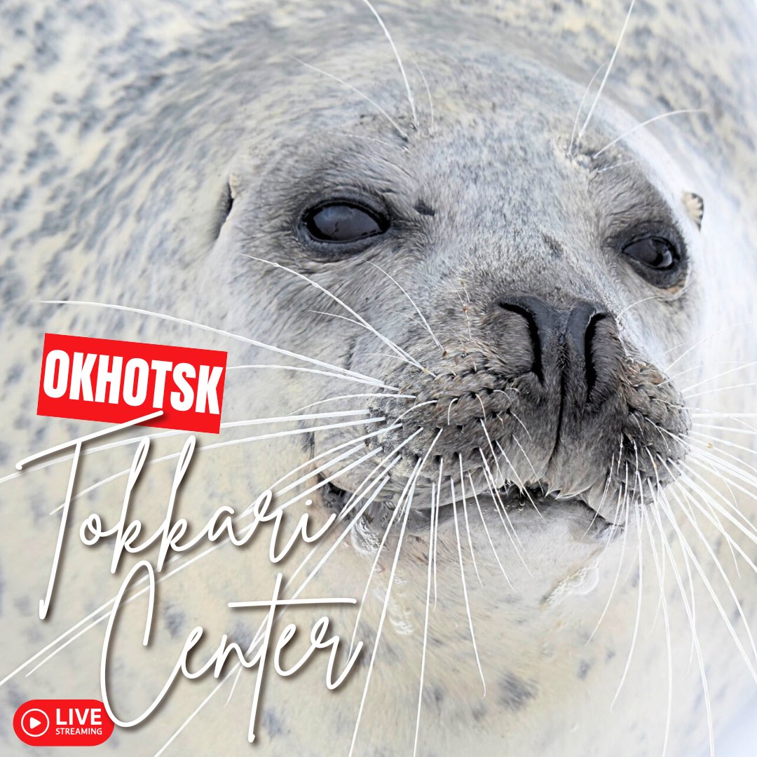 オホーツク・ガリンコタワー株式会社 (@GarinkoTower) / Posts / X