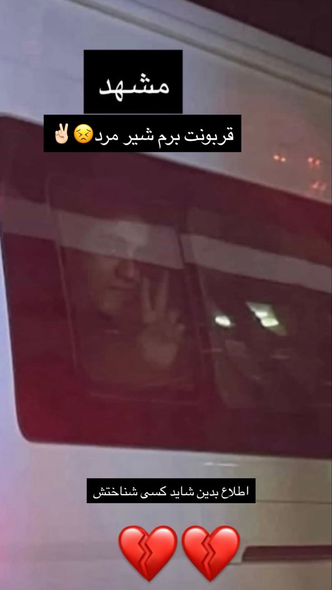 ‏ بینش tweet media