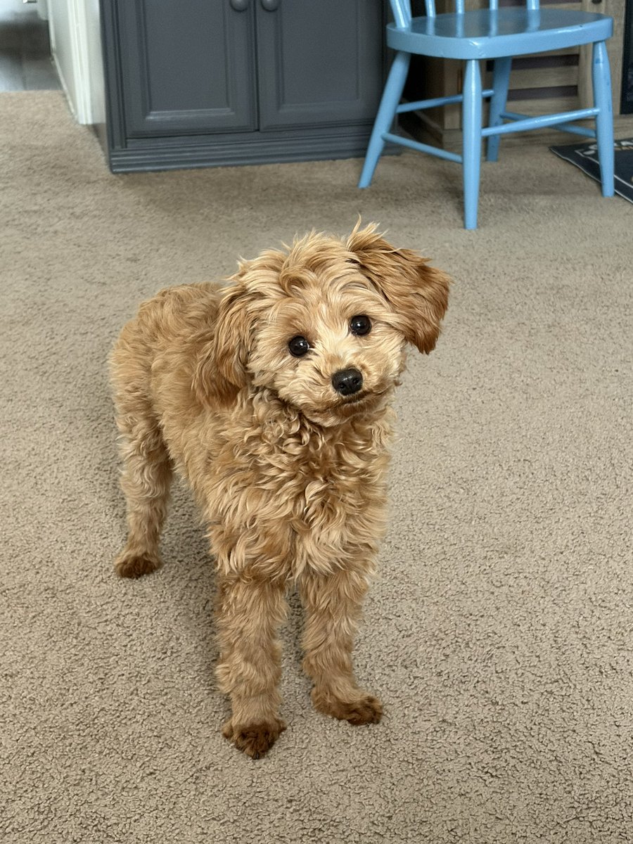 𝑀𝑒𝑔𝒶𝓃 🤓🏳️‍🌈 tweet media