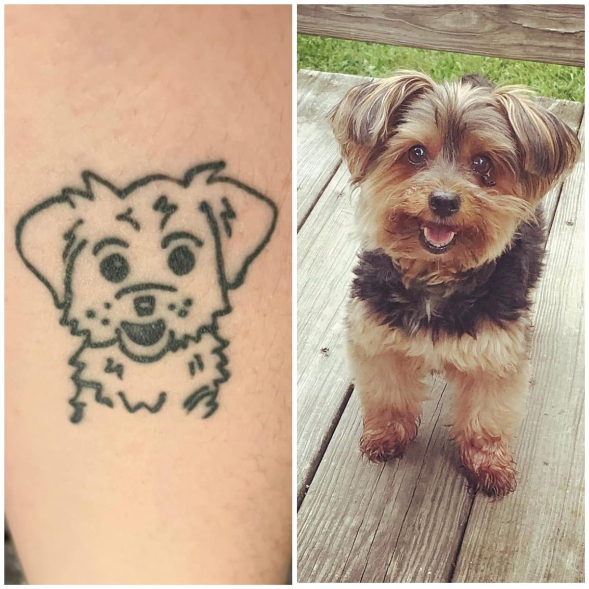 𝑀𝑒𝑔𝒶𝓃 🤓🏳️‍🌈 tweet media