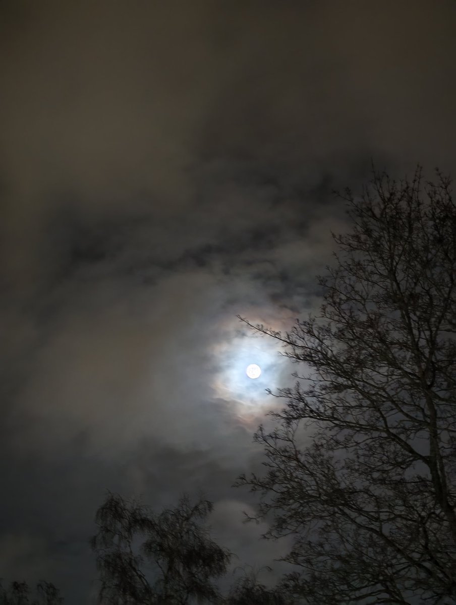 Sherringford56's tweet image. Beautiful #moon