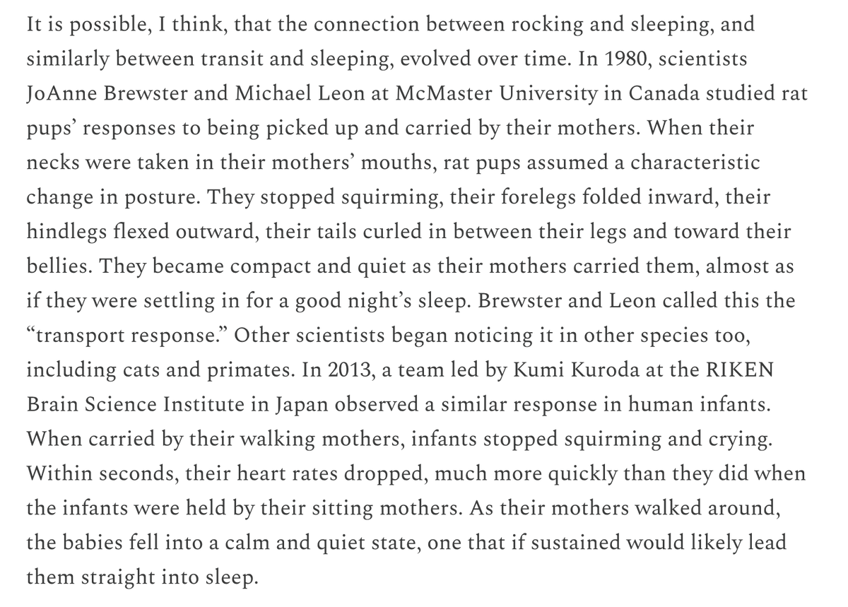 rafaela_kottou's tweet photo. Up now on my s**stack, my latest piece on sleeping, dreaming, trains, sleeping on trains, dreaming in transit, and why nighttime transit makes for the ideal dream scene https://t.co/7WEXxXlK7g