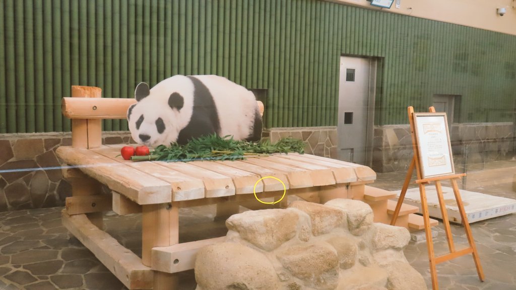 ぴぴちゃんページ⭐︎ ビビちゃん໒꒱·ﾟ (@x_127x) / Posts / X