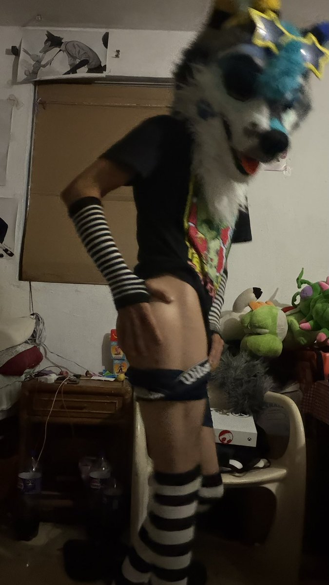 DanteFurryAD's tweet photo. Nueva head próx más contenido jejeje https://t.co/UV3nfaR3xw