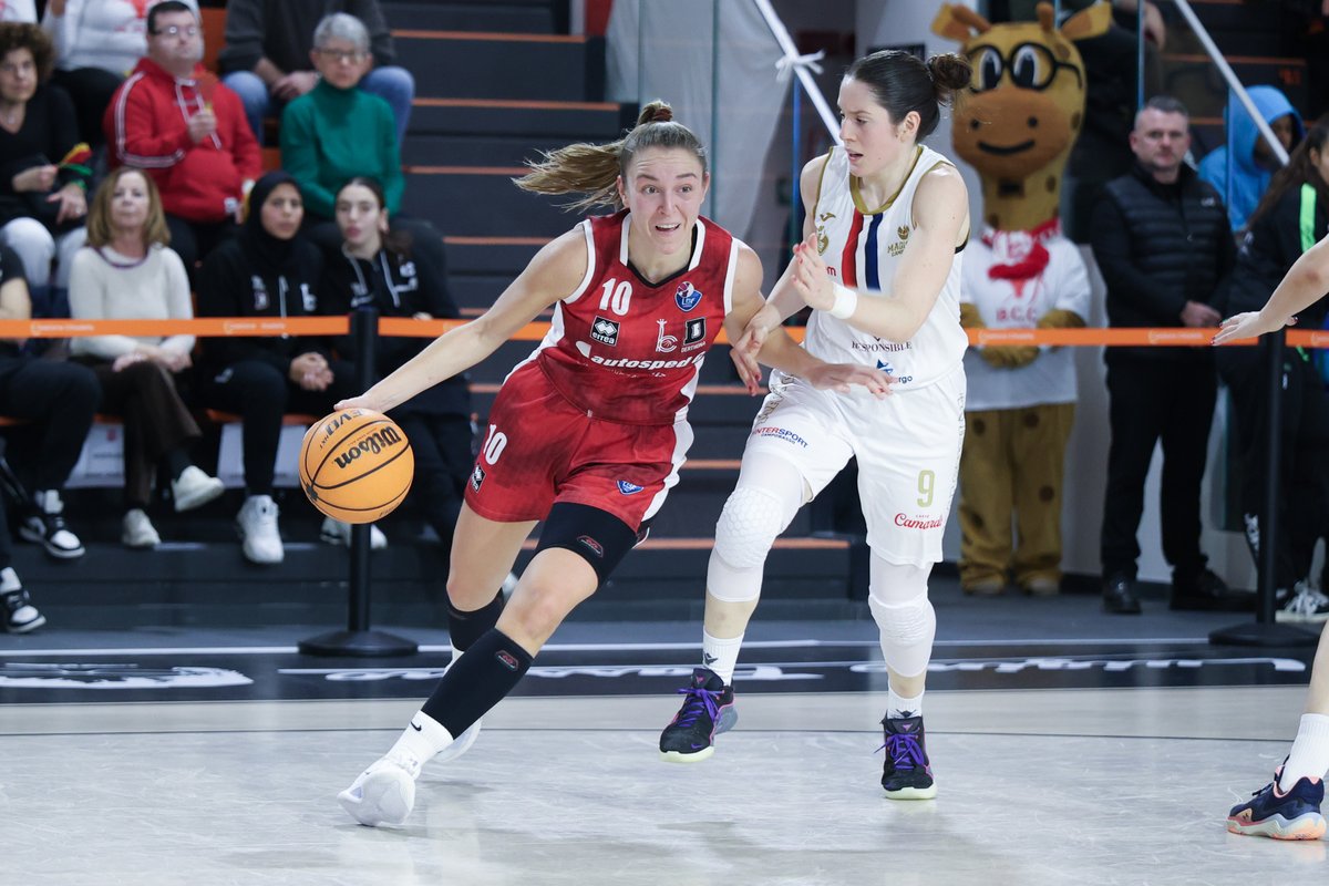 SCOUTING REPORT ~ Il punto sui risultati dei confronti senior nel weekend ~

L’avvio del 2026 non regala grandi sorrisi ai team molisani. Fanno festa solo i Ballers Lab Termoli

(foto Lbf)

#FipMolise #Italbasket #campionati