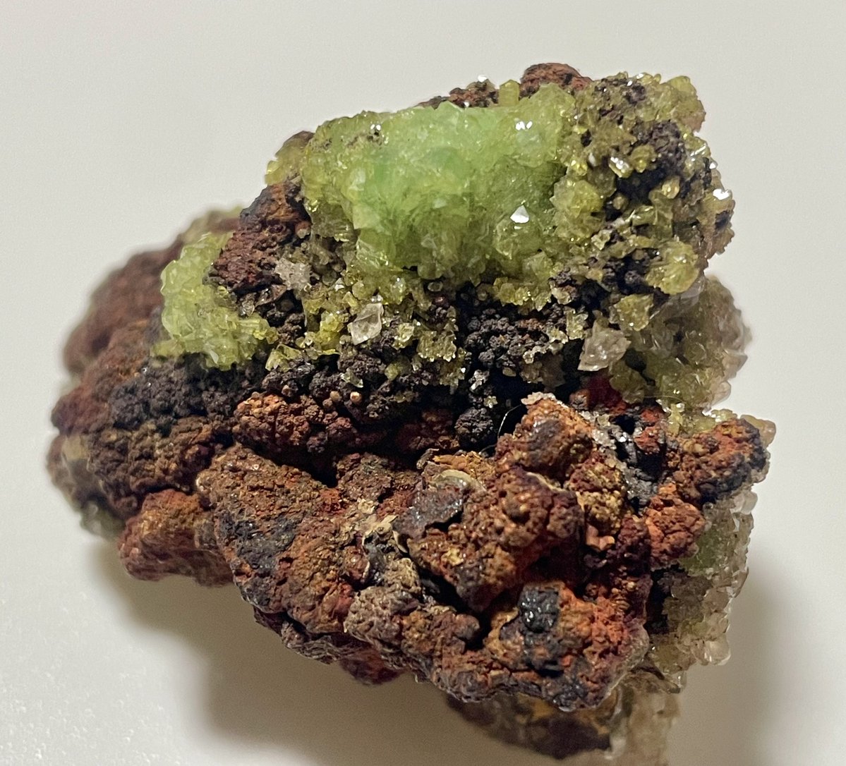 stellar_chaton's tweet image. 非常に発色の良いライムグリーンの含銅アダム石
購入時に店主さんのマイコレだと教えてくれました。