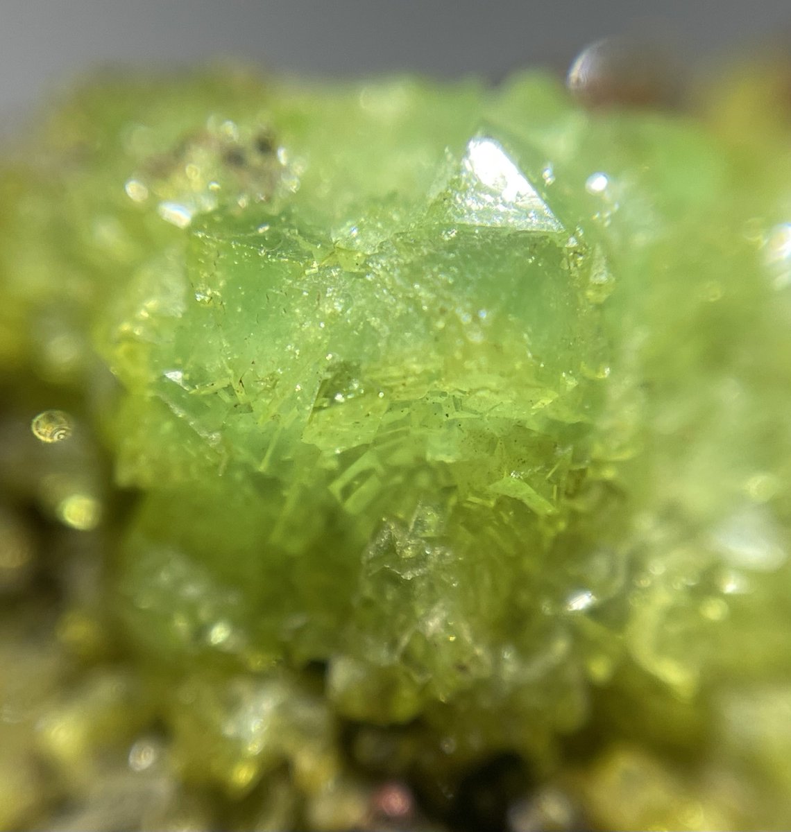 stellar_chaton's tweet image. 非常に発色の良いライムグリーンの含銅アダム石
購入時に店主さんのマイコレだと教えてくれました。