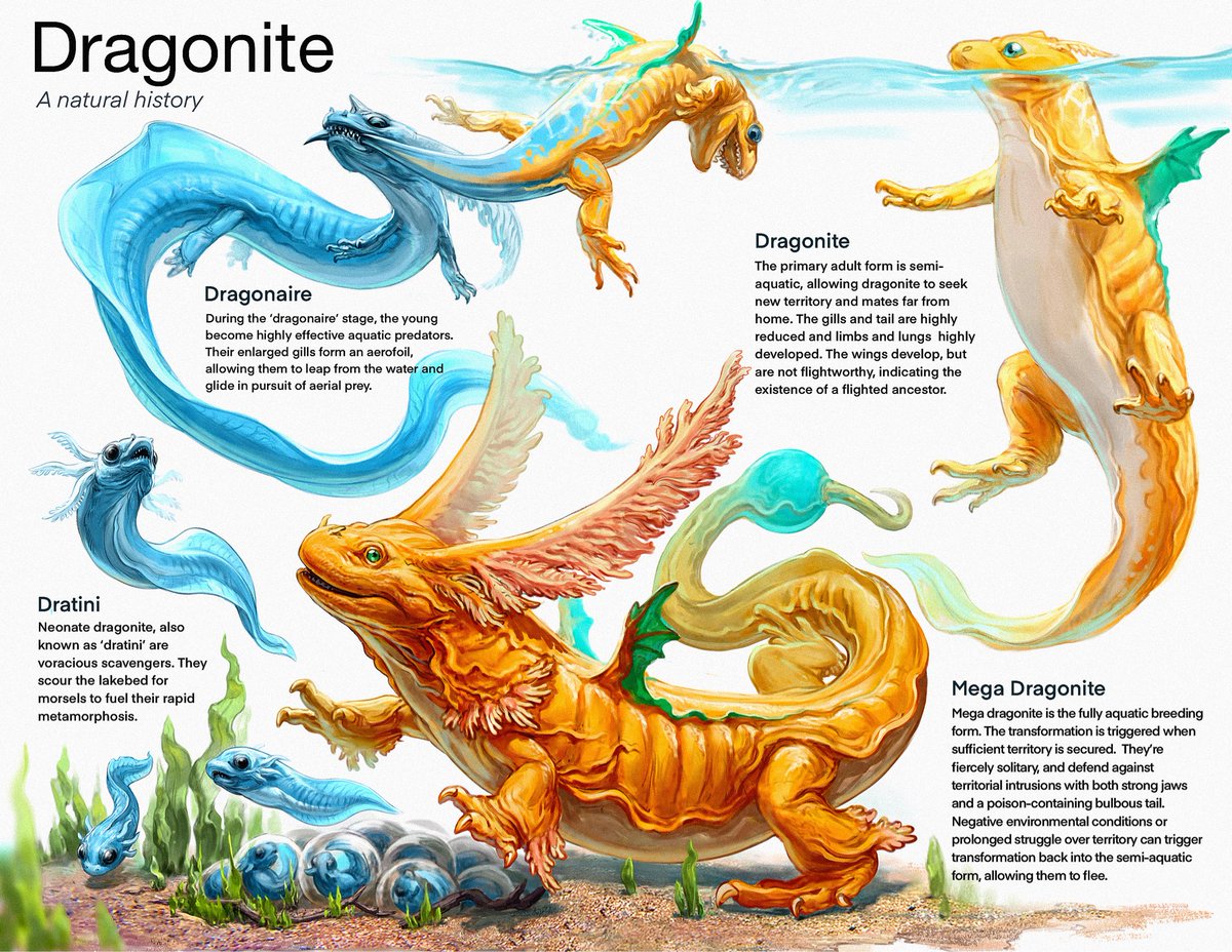webvein's tweet image. Mega dragonite lifecycle. Started this when mega dragonite was just released and now I’m tired lol.