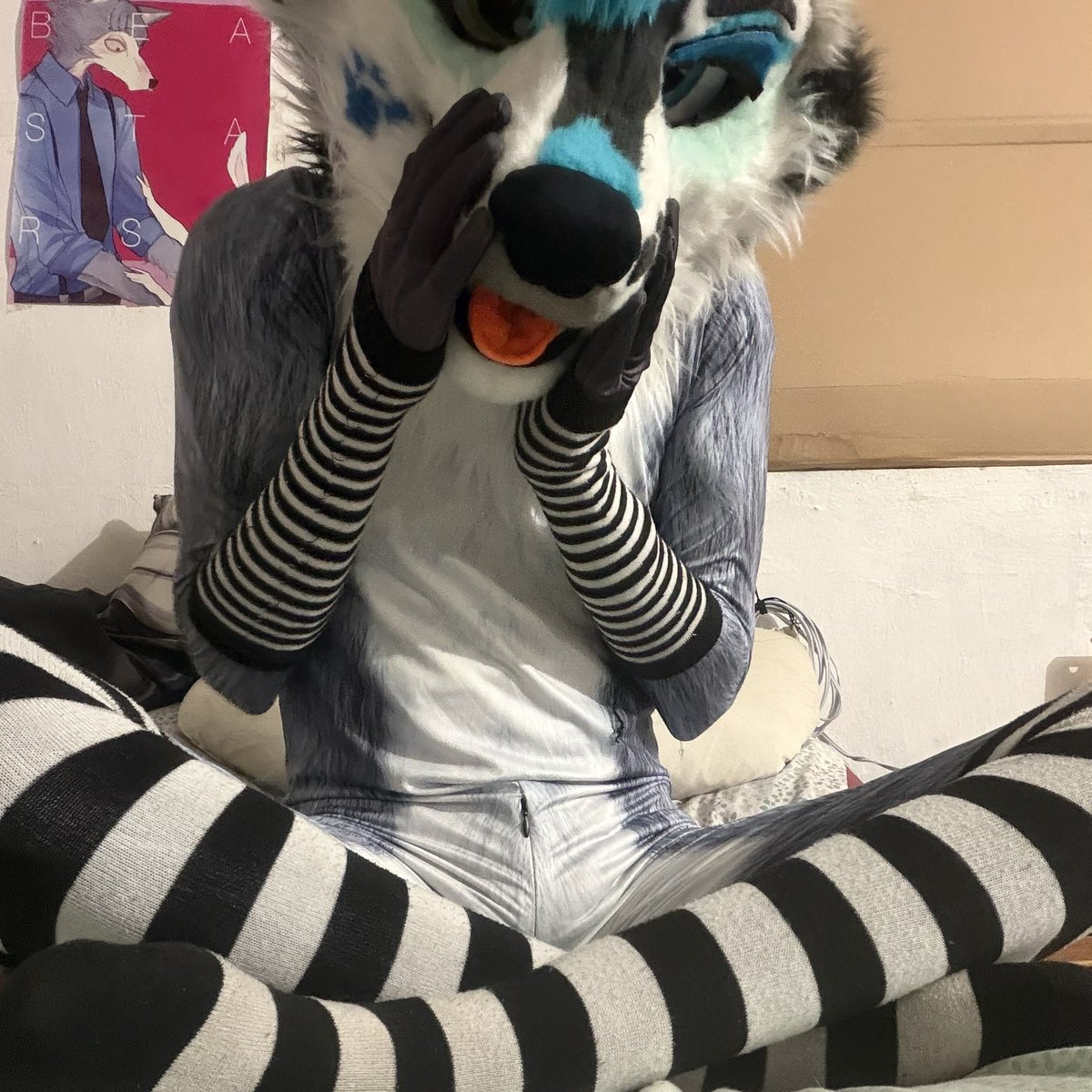 DanteFurryAD's tweet photo. :3 https://t.co/wux0kJ1hBk