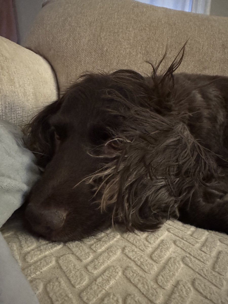 First Day back in TN after Christmas and dealing with crazy static hair 😂 💗Boykins