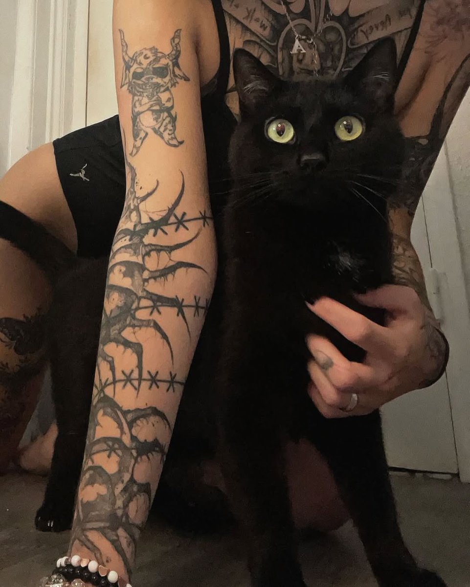 ૮₍ ˃ ⤙ ˂ ₎ა tweet media